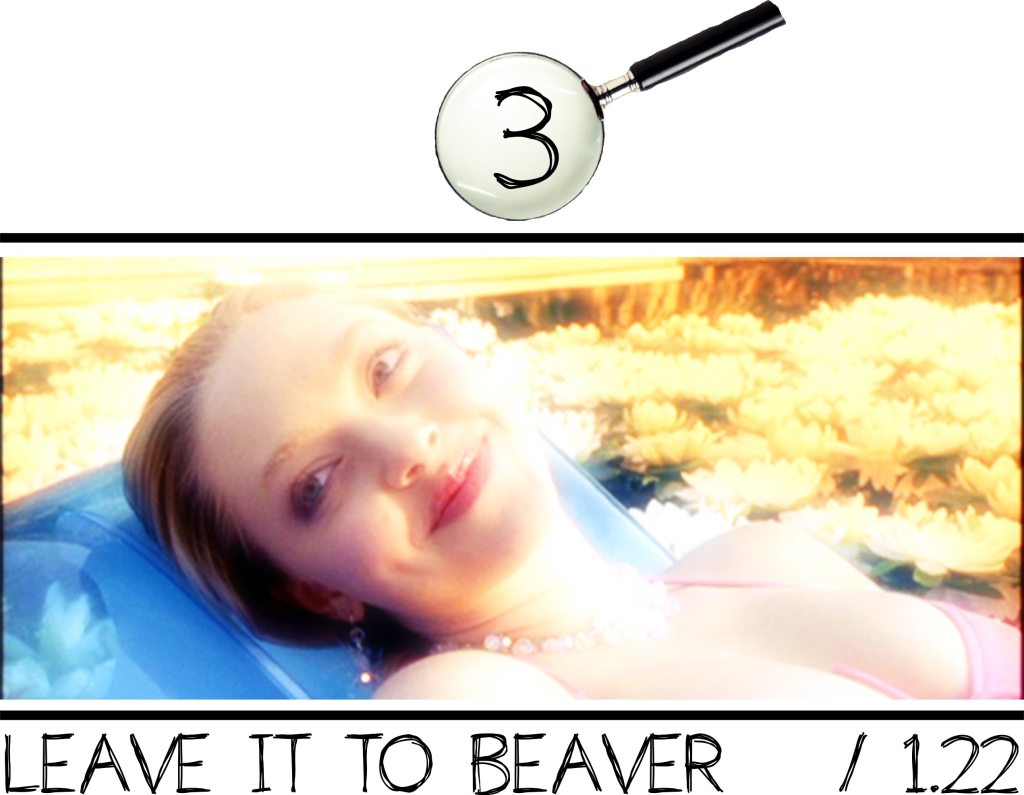 3leaveittobeaver