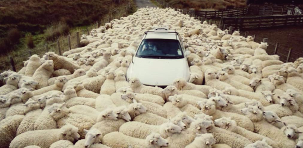 against the crowd blogathon 2