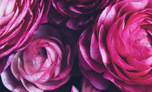 tumblr_o5a2fnVDmT1qf8em3o4_1280