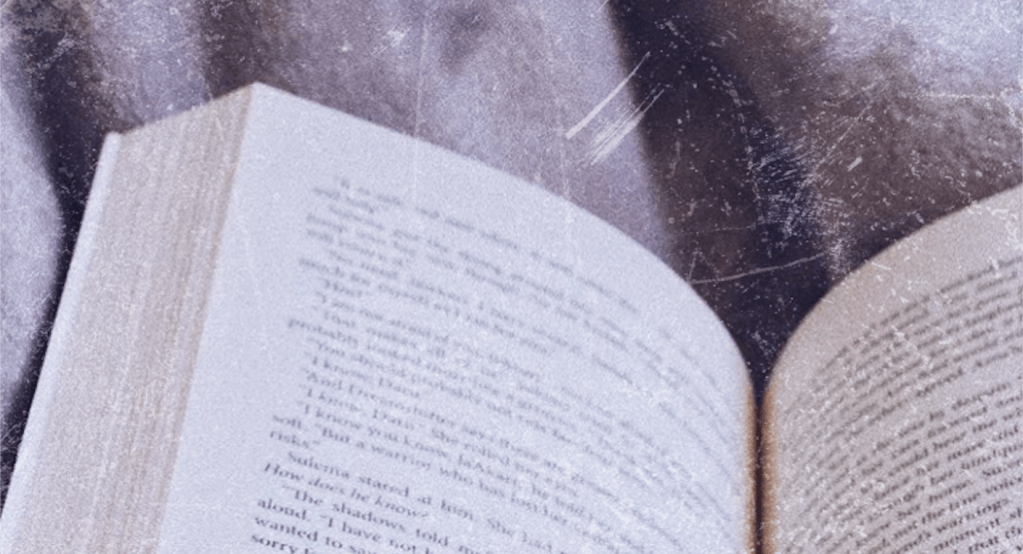 My Top 5 Favourite Books I Read in&nbsp;2019